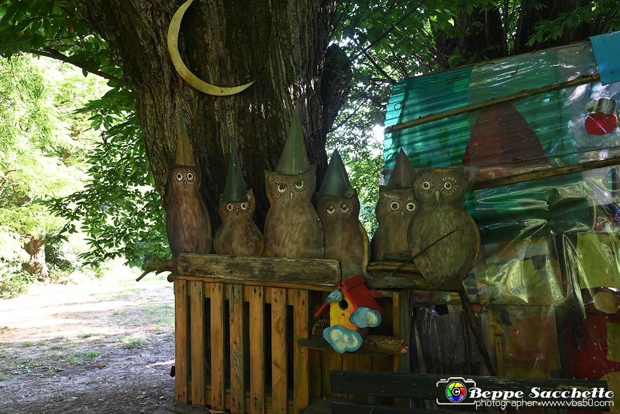 VBS_4879 - Il bosco fatato - Montaldo Roero.jpg